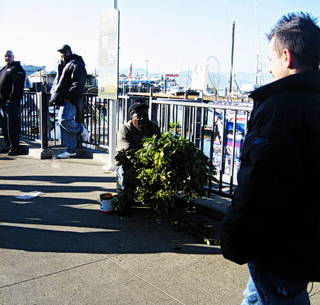 The Bushman of San Francisco's Fisherman's Wharf by Suzi Rosenberg