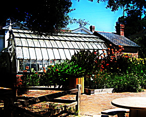 Luther Burbank Greenhouse by Suzi Rosenberg