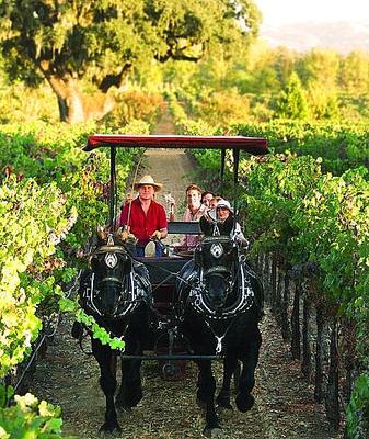 Wine Country Carriage