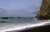 Seals along the Lost Coast