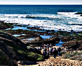 Tide Pools and People; CC Mike Baird