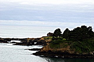 Mendocino Cliffs by Suzi Rosenberg